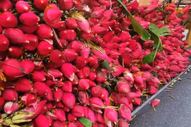 Gallery - THỊ TRƯỜNG TÊT 2023 - image 13