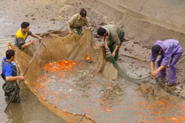 Gallery - THỊ TRƯỜNG TÊT 2023 - image 14