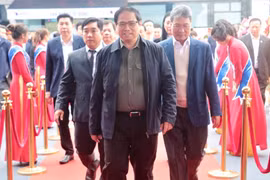 Gallery - NĂM MỚI 2023 - image 12