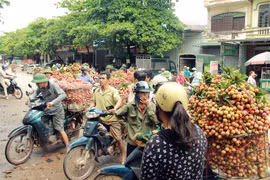 Mưa nắng thất thường, "lệ chi" không được mùa, giá bán tăng chót vót
