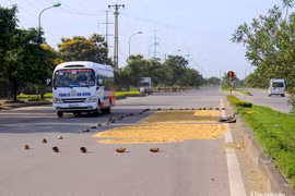 TP Vinh: Đường phố, vỉa hè 'biến' thành sân phơi lúa
