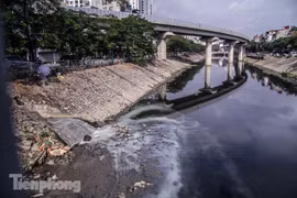 Gallery - CÔNG VIÊN LỊCH SỬ - VĂN HÓA - TÂM LINH TÔ LỊCH - image 4