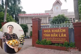 Gallery - Nữ trưởng phòng Đăk Lăk "mượn" bằng của chị - image 13