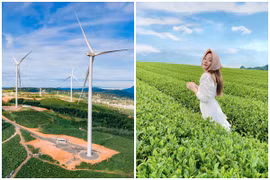 Cảnh đẹp như phim, đồi chè hút giới trẻ rần rần check in 