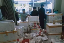 Kiểm tra, phát hiện 370kg dâu tây Trung Quốc ở Đà Lạt