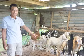 Anh nông dân Đà Nẵng nuôi “thập cẩm” lãi hàng trăm triệu/năm?