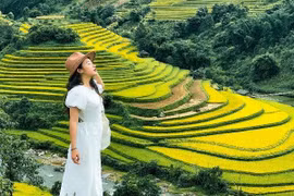 Săn mùa lúa xanh đẹp nức lòng ở Mù Cang Chải