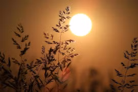 Gallery - Tử Vi 2015 - image 15