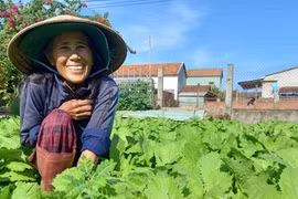 Rau gia vị bón loại phân hữu cơ này cứ như được ăn “thần dược”