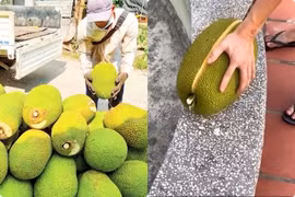 Tin lời người bán, thanh niên mua quả mít về bổ và cái kết