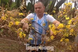 Vụ thảm sát bố mẹ vợ và vợ: Lời khai rùng mình của kẻ sát nhân