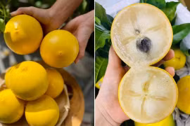 Loại quả nhìn bên ngoài giống đào tiên, bên trong ngọt lịm