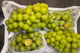 Nho Trung Quốc đổ bộ chợ Việt với giá rẻ hơn rau