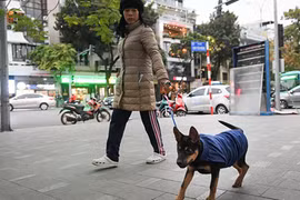 Gallery - GIÁ RÉT Ở MIỀN BẮC - image 13