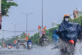 https://image.tienphong.vn/w645/Uploaded/2025/dahtzbth-gznrxgahtb/2025_03_16/mua-1603-7576-6555.jpg