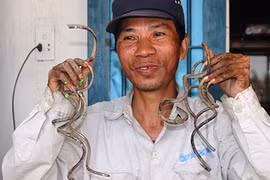 Móng tay quỷ và những bộ tóc và móng kỳ dị 
