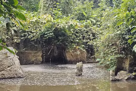Gallery - DOANH NGHIỆP VI PHẠM MÔI TRƯỜNG - image 10