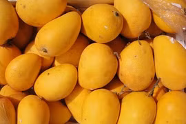 Mẹo đơn giản nhận biết xoài chín tự nhiên hay chín ép bằng hóa chất