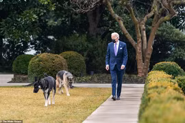 Gallery - TỔNG THỐNG MỸ JOE BIDEN - image 13