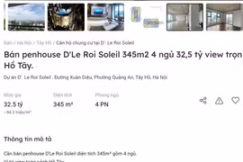 Giật mình những căn hộ được rao bán giá chỉ dành cho giới siêu giàu