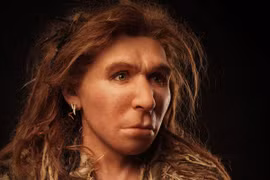 Rúng động lý do thực sự khiến người Neanderthal bị tuyệt chủng 