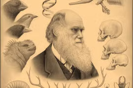 Sự thật bất ngờ rúng động thế giới về thuyết tiến hóa của Darwin