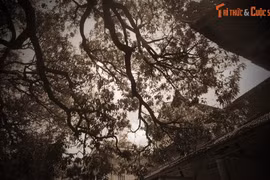 Chuyện bi tráng về vong hồn cưỡi ngựa trắng ở ngôi chùa cổ Phú Yên 