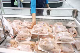 Thịt gà nhập khẩu giá chỉ 20 nghìn đồng/kg
