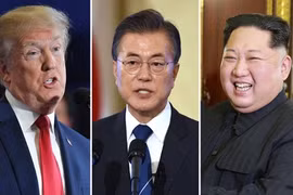 Cân tài 3 ứng viên sáng giá của giải Nobel Hòa bình 2018
