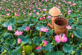 Bản sắc văn hóa các nước trên thế giới qua ảnh