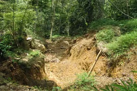 Gallery - Giải Cứu 3 Phu Vàng Mắc Kẹt - image 10