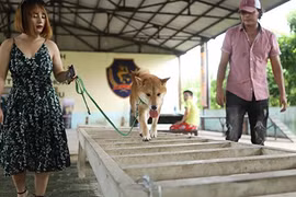 Gallery - Phim Cậu Vàng - image 5