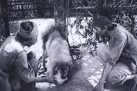 Gallery - Phim Cậu Vàng - image 9