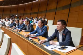 Gallery - KỲ HỌP THỨ 8 QUỐC HỘI KHÓA XV - image 17