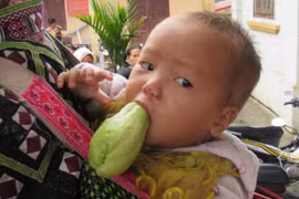 Sau bức ảnh em bé vùng cao và quả su su cắn dở