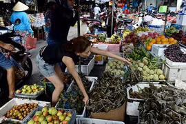 Chùm ảnh: Người Sài Gòn mua lá cây diệt sâu bọ Tết Đoan Ngọ