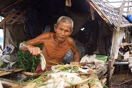 Cá chết hàng loạt trên sông Mã do bị sặc bùn