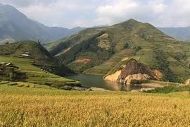 Mê đắm sắc của thiên đường mây ở đỉnh Tà Chì Nhù