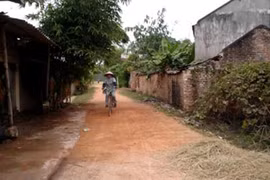Gallery - Nghệ Sĩ Hán Văn Tình Qua Đời - image 18