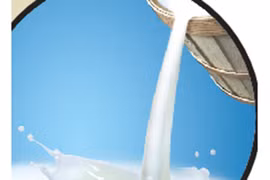 Sai lầm khi uống sữa tươi khiến trẻ bị tiêu chảy