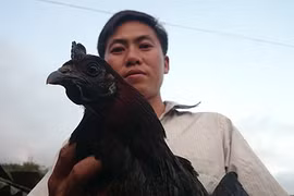 Gallery - Thực Phẩm Tết 2019 - image 18