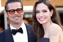 Gallery - Angelina Jolie và Brad Pitt ly hôn - image 15
