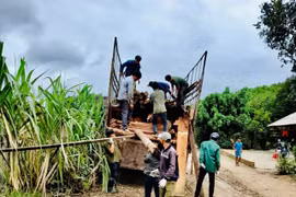 Đắk Lắk: Hàng trăm hộ dân tự nguyện di dời đến khu tái định cư