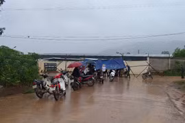 Gallery - Ô mai ngậm đường hóa học - image 13