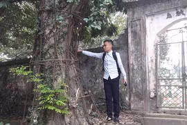 Gallery - Hà Nội bán cây sưa 100 tỷ  - image 9