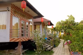 Gallery - Xuân Hương - Thanh Bạch - image 7