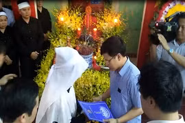 Gallery - Máy Bay Quân Sự L39 Rơi Ở Phú Yên - image 13