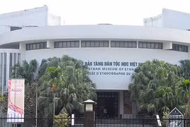 Nghi vấn 2 cây sưa đỏ ở Bảo tàng Dân tộc học mất trộm?