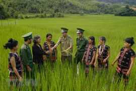 Gallery - NGÀY QUÂN ĐỘI NHÂN DÂN VIỆT NAM 22/12 - image 16