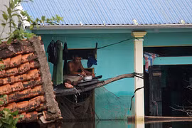 Gallery - Ngập lụt ở Chương Mỹ - image 7